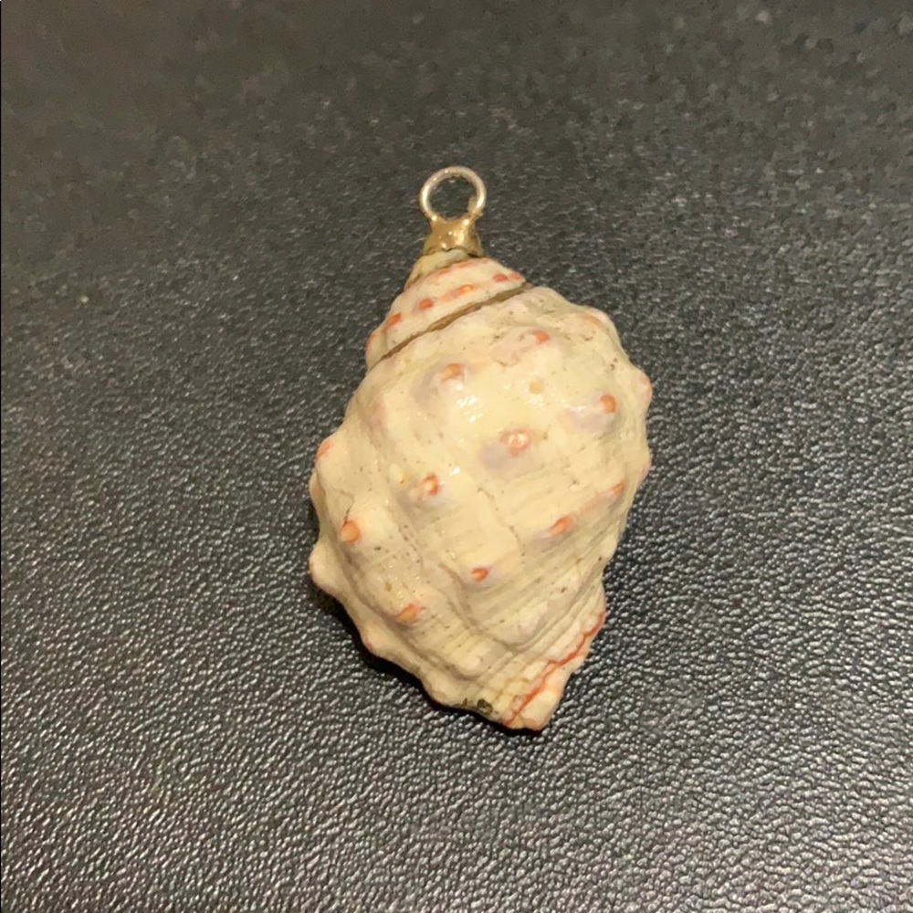 Shell Necklace Charm